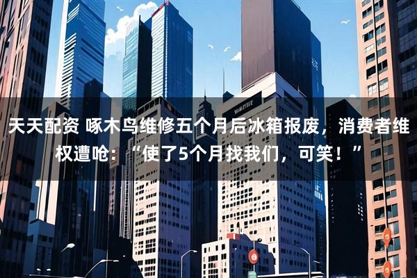 天天配资 啄木鸟维修五个月后冰箱报废，消费者维权遭呛：“使了5个月找我们，可笑！”
