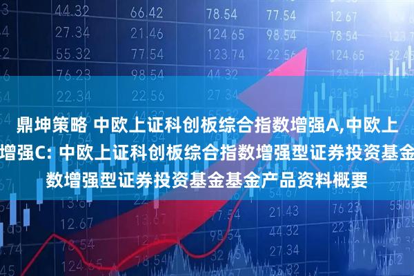鼎坤策略 中欧上证科创板综合指数增强A,中欧上证科创板综合指数增强C: 中欧上证科创板综合指数增强型证券投资基金基金产品资料概要