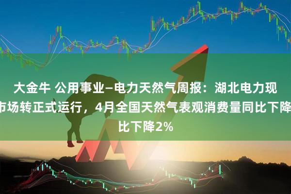 大金牛 公用事业—电力天然气周报：湖北电力现货市场转正式运行，4月全国天然气表观消费量同比下降2%