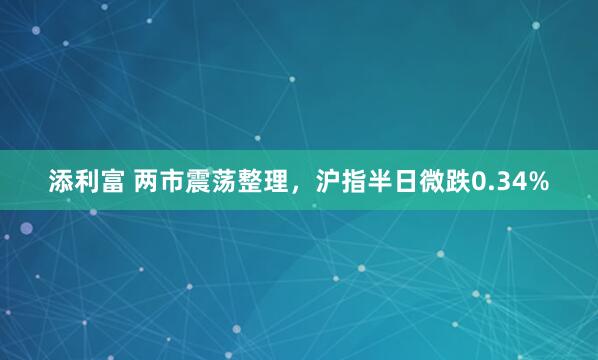 添利富 两市震荡整理，沪指半日微跌0.34%
