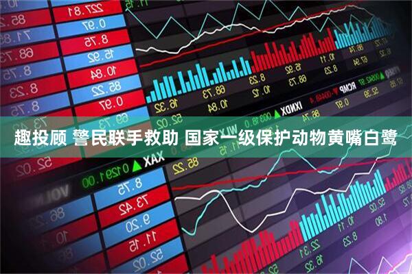 趣投顾 警民联手救助 国家一级保护动物黄嘴白鹭