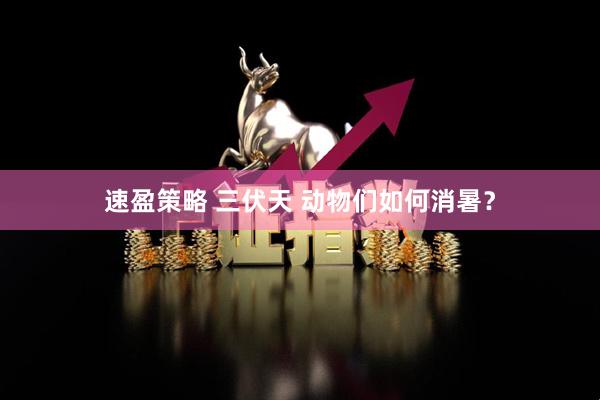 速盈策略 三伏天 动物们如何消暑？