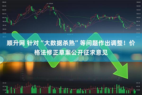 顺升网 针对“大数据杀熟”等问题作出调整！价格法修正草案公开征求意见