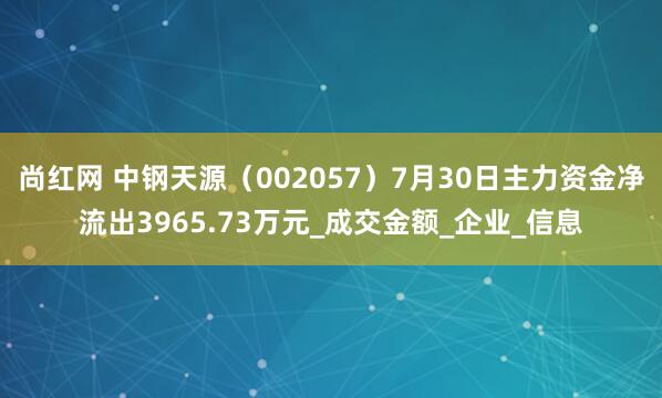 尚红网 中钢天源（002057）7月30日主力资金净流出3965.73万元_成交金额_企业_信息