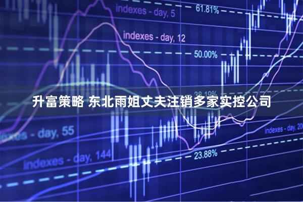 升富策略 东北雨姐丈夫注销多家实控公司