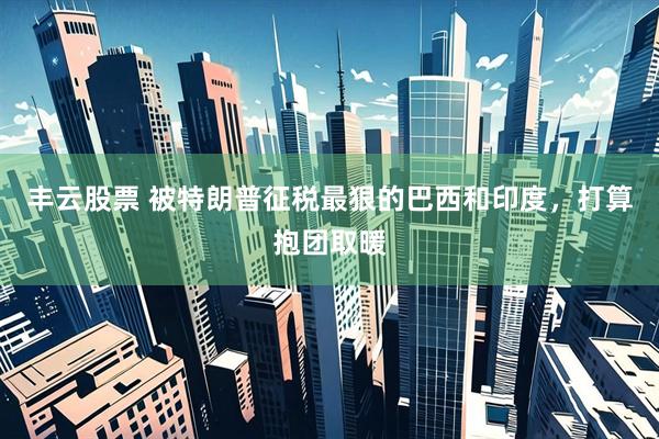 丰云股票 被特朗普征税最狠的巴西和印度，打算抱团取暖