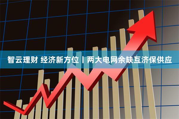 智云理财 经济新方位丨两大电网余缺互济保供应