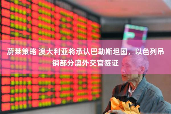 蔚莱策略 澳大利亚将承认巴勒斯坦国，以色列吊销部分澳外交官签证