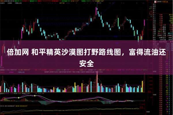 倍加网 和平精英沙漠图打野路线图，富得流油还安全